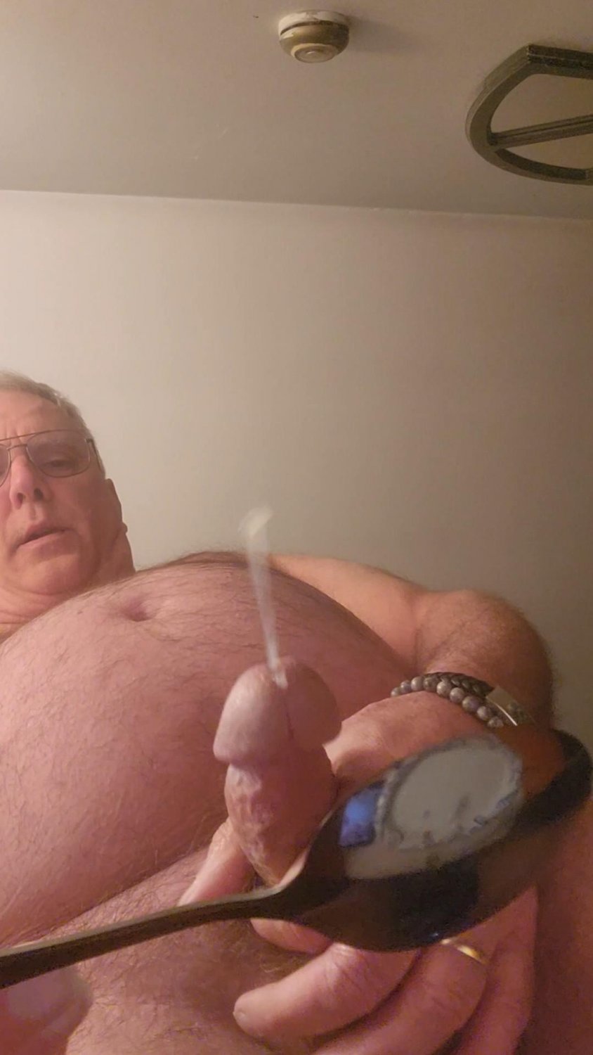 Wild Wife Expo #VWSUDIq2